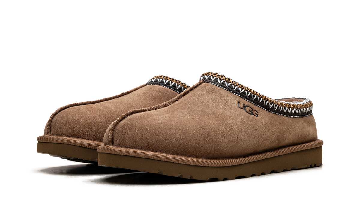 Tasman II "Chestnut" 1174671 CHE